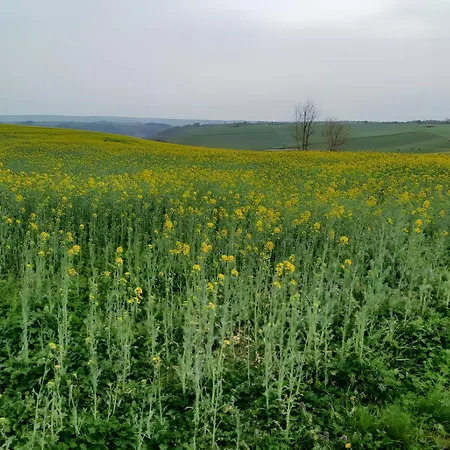 La Ferme Du Marronnier فندق مبيت وإفطار